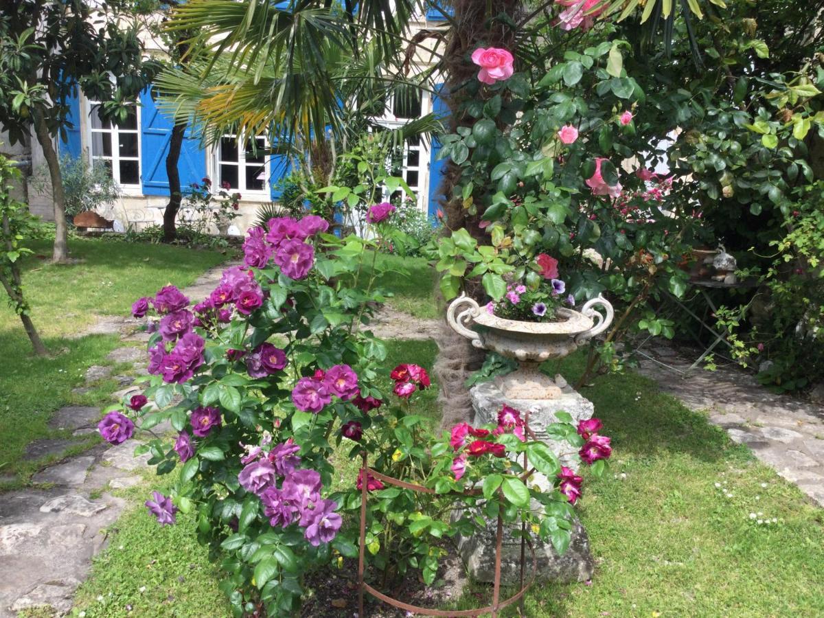 Saint-Jean-dʼAngély L'Orangerie Du General B&B 외부 사진