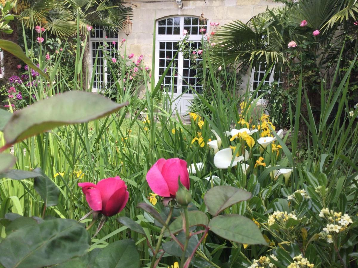 Saint-Jean-dʼAngély L'Orangerie Du General B&B 외부 사진